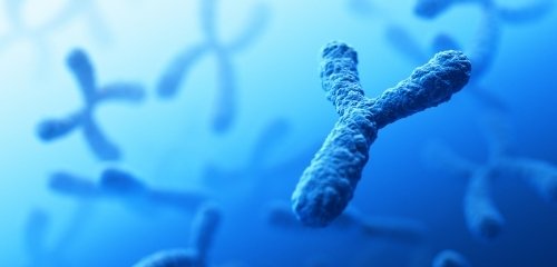 Хромозомни патологии при плода – как и кога се откриват, какви изследвания се правят?